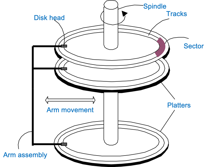 Disk Anatomy